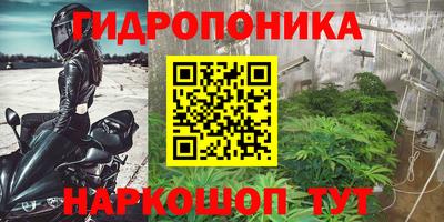 крисы Ставрополь