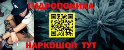 крисы Ставрополь