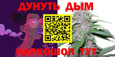 крисы Ставрополь