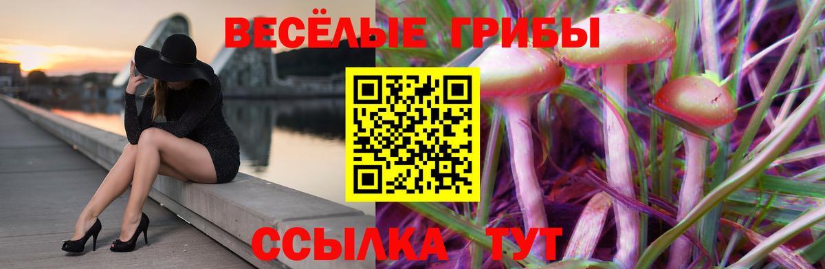 Псилоцибиновые грибы мицелий Минеральные Воды